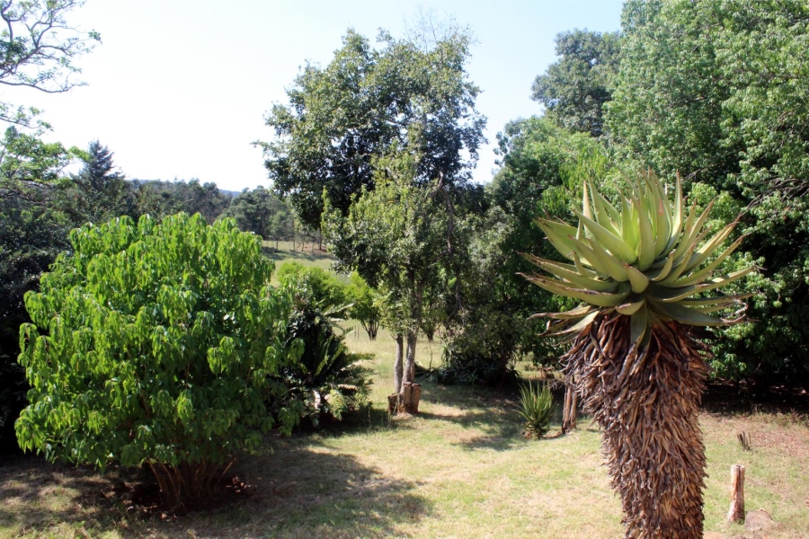 Commercial Property for Sale in Stutterheim Eastern Cape